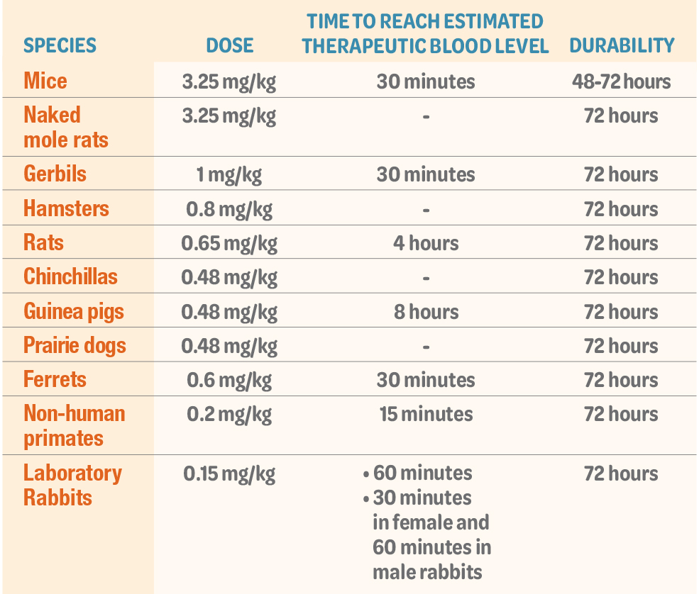 Ethiqa XR: Time to reach estimated therapeutic blood levels